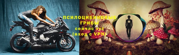 МДМА Дубовка
